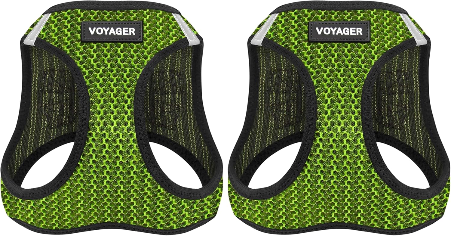 Voyager Step-in Air Dog Harness - All Weather Mesh, Reflective, No Pull Harness for Small, Medium Dogs, Cats - Secure with Hook & Loop Fastener, Buckle, Double D-Rings - Lime Green 2-Tone, XS