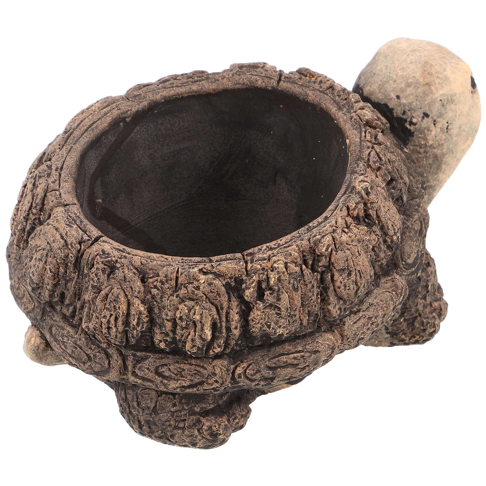 Pot de fleurs en béton tortue, un cadeau de jardin original