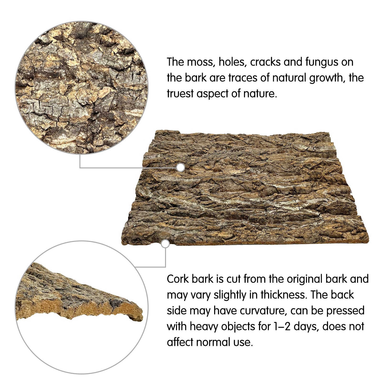 Placche In Corteccia Di Sughero Per Terrario - Sfondo Naturale Per Rettili E Gechi - Foto 10