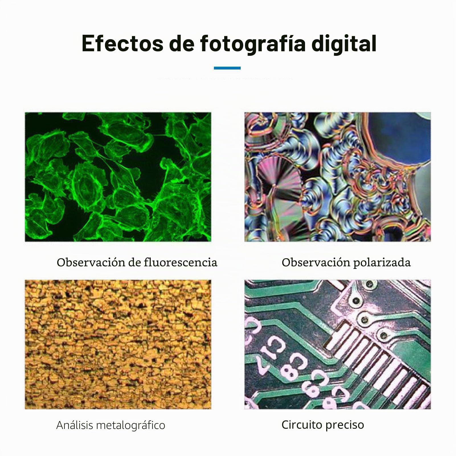 Cámara de Microscopio Industrial, 48MP 4K 1080p HDMI Cámara de Microscopio Digital 5X Zoom Digital Cámara de Video Electrónica de Mano con Salida USB2.0 para Fotos, Video (Enchufe de la UE 100-240V)