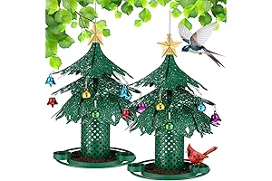 Xmas Tree Bird Feeder: A Festive Feast for Your Feathered Friends