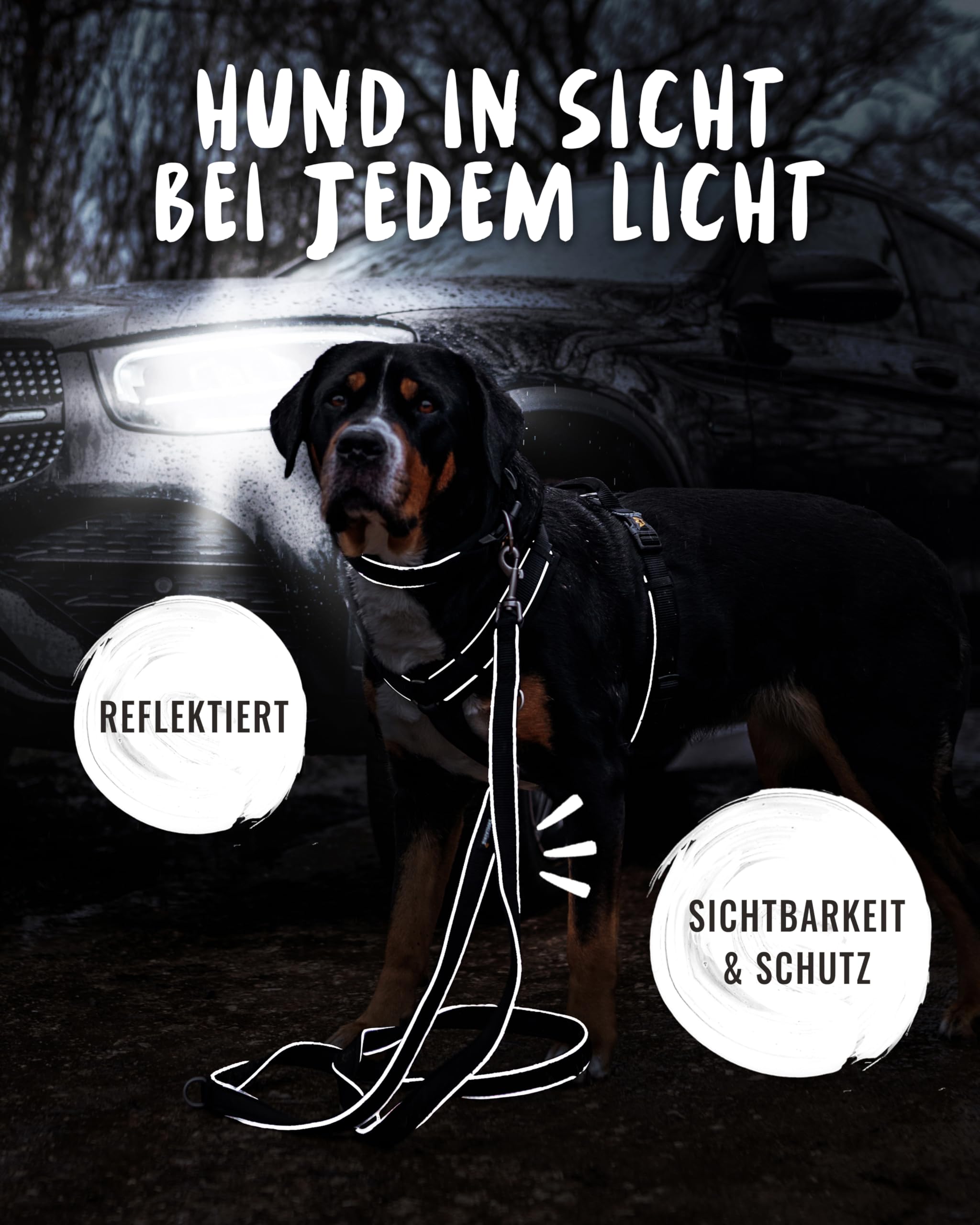 Rudelkönig Führleine Paola - 2,30m Länge - Verstellbare Hundeleine große & mittelgroße Hunde - Reflektierende Hunde Leine in schwarz