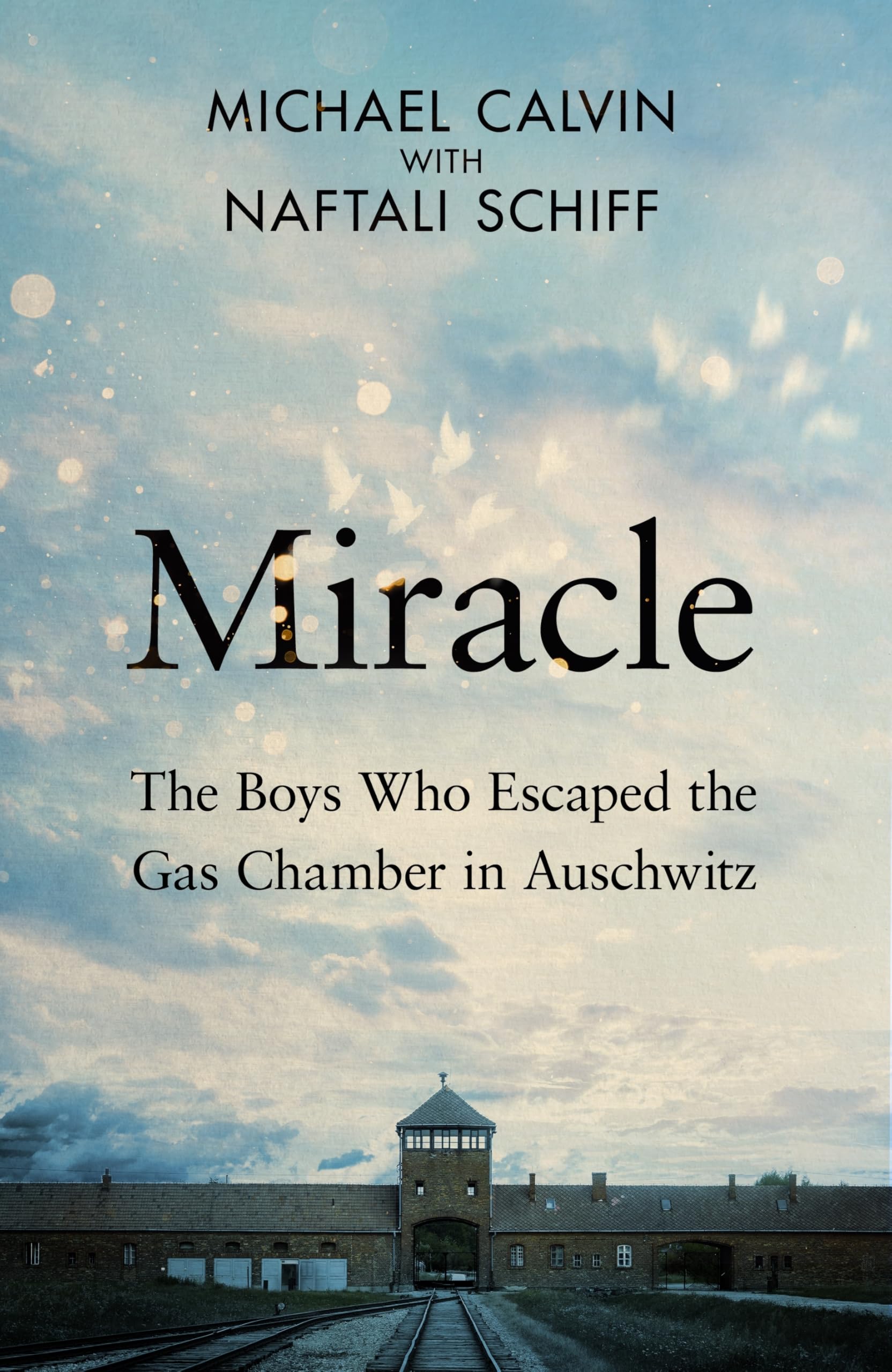 Miracle: The Boys Who Escaped the Gas Chamber in Auschwitz by Michael Calvin