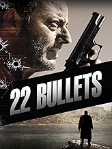 22 Bullets