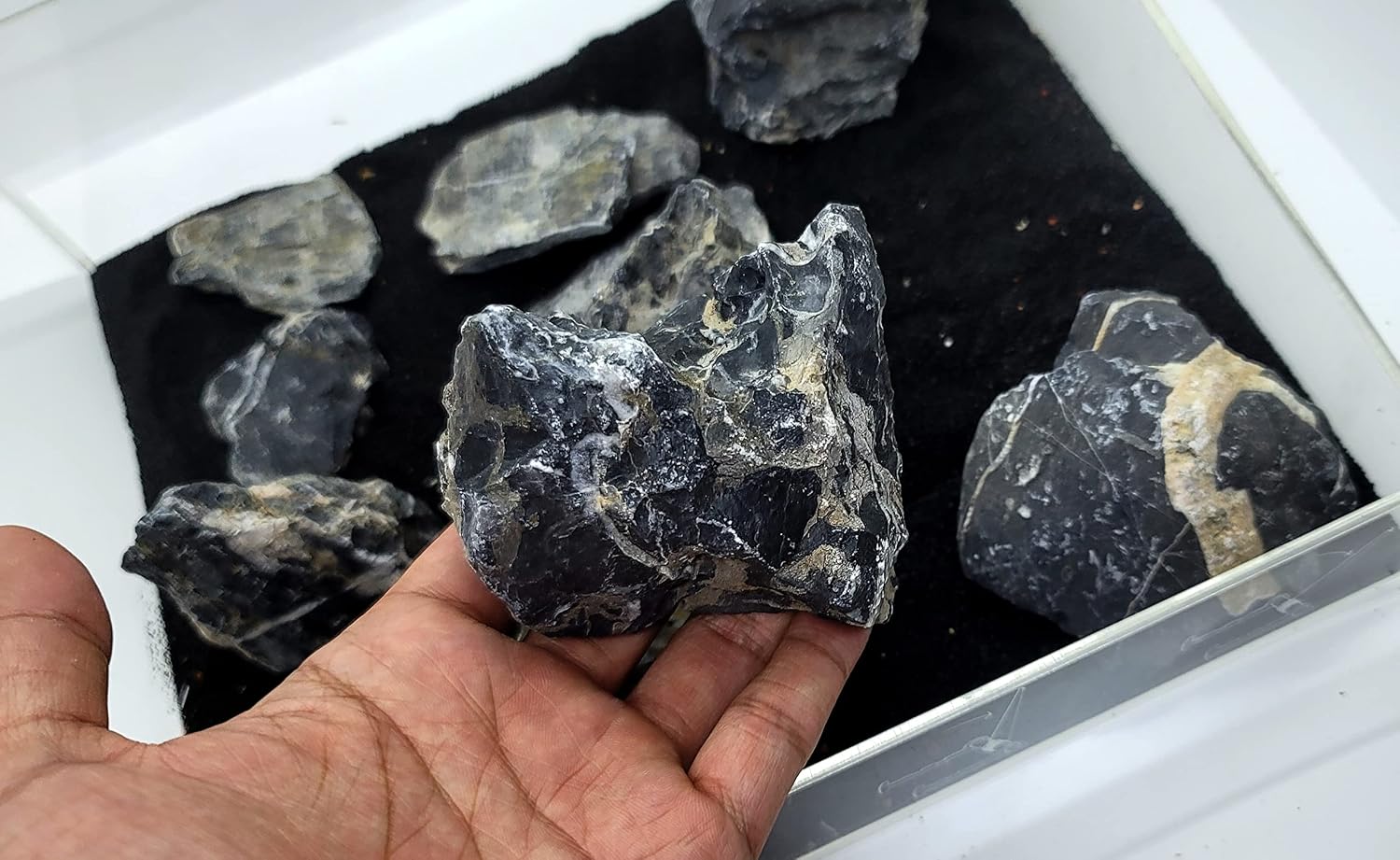 Amazon.com : Aqualexs Aquarium Seiryu Stone Rock Acid Washed Mixed ...