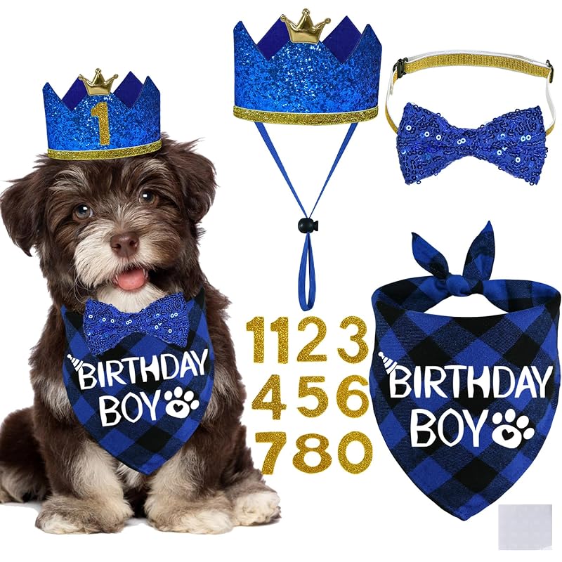 Chapéu de aniversário para cães com bandana e gravata-borboleta STMK Blue, Small