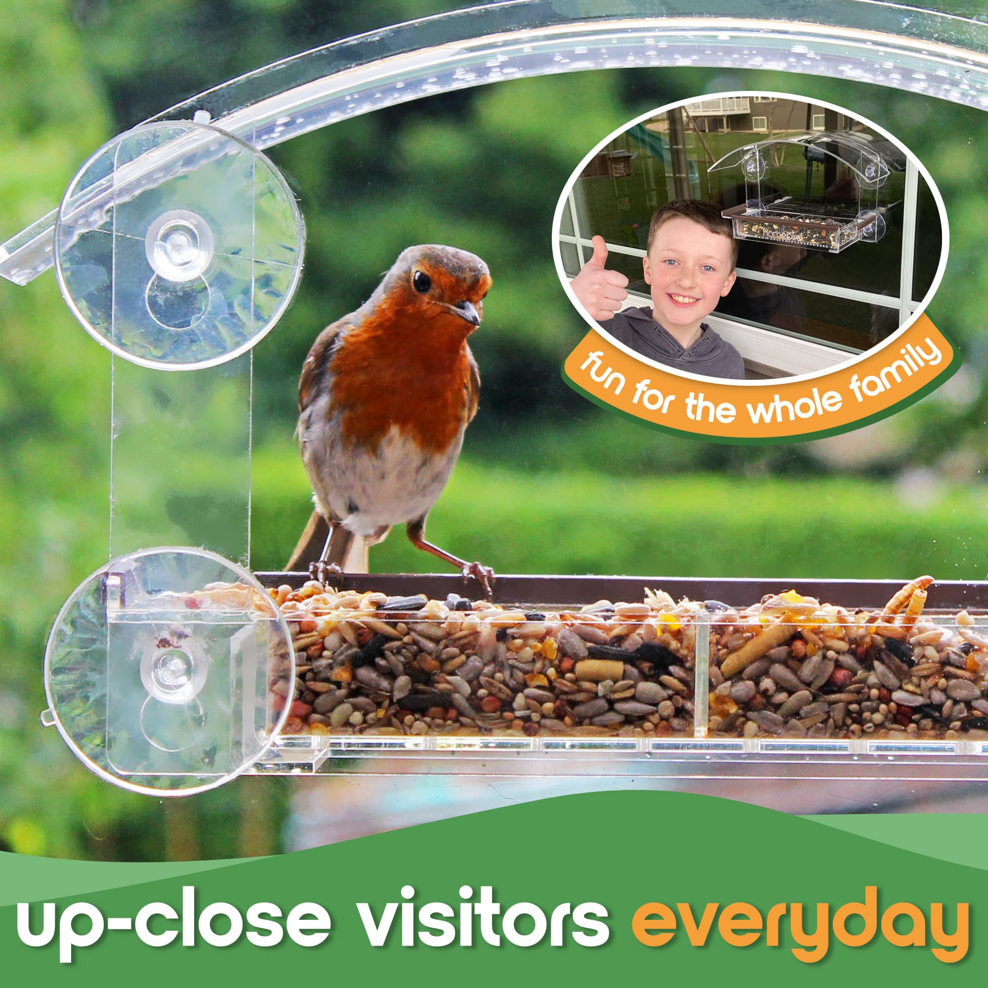 Comederos para pájaros, comederos transparentes para ventana, con ventosas fuertes, para amantes de la vida silvestre.