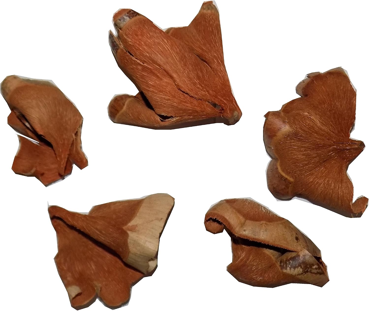 Eco Animal Pet Products Coconut Husk Swirlers - Chew Toy for Rabbits, Guinea Pigs, Chinchillas, Birds, Gerbils, Hamsters, and Other…