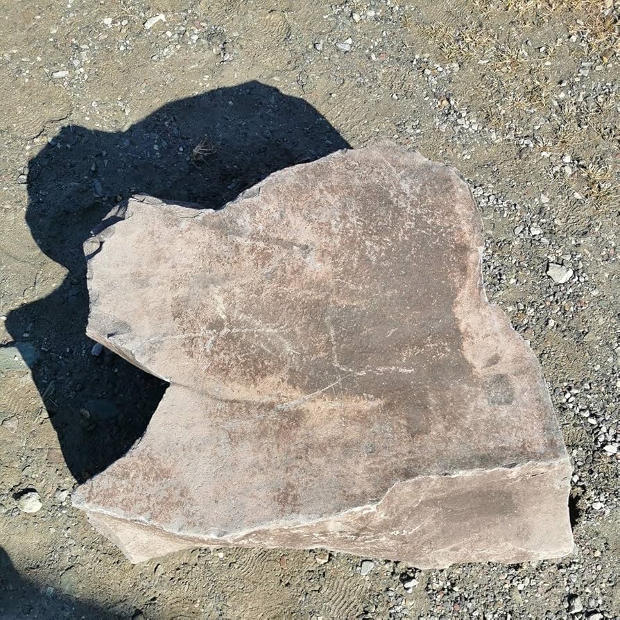 Amazon.co.jp: 本小松石197キロ庭石鑑賞石石盆石水石灯籠庭坪庭盆栽