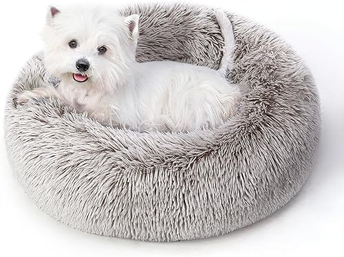 Miniatura 10 de Cama calmante para perros y gatos para gatos de interior, tamaño mediano, lavable, antideslizante, contra la ansiedad, camas tipo dona para perros