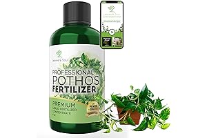 Professional 3-1-2 Concentrate Plant Enhancer for Vibrant Pothos Plants