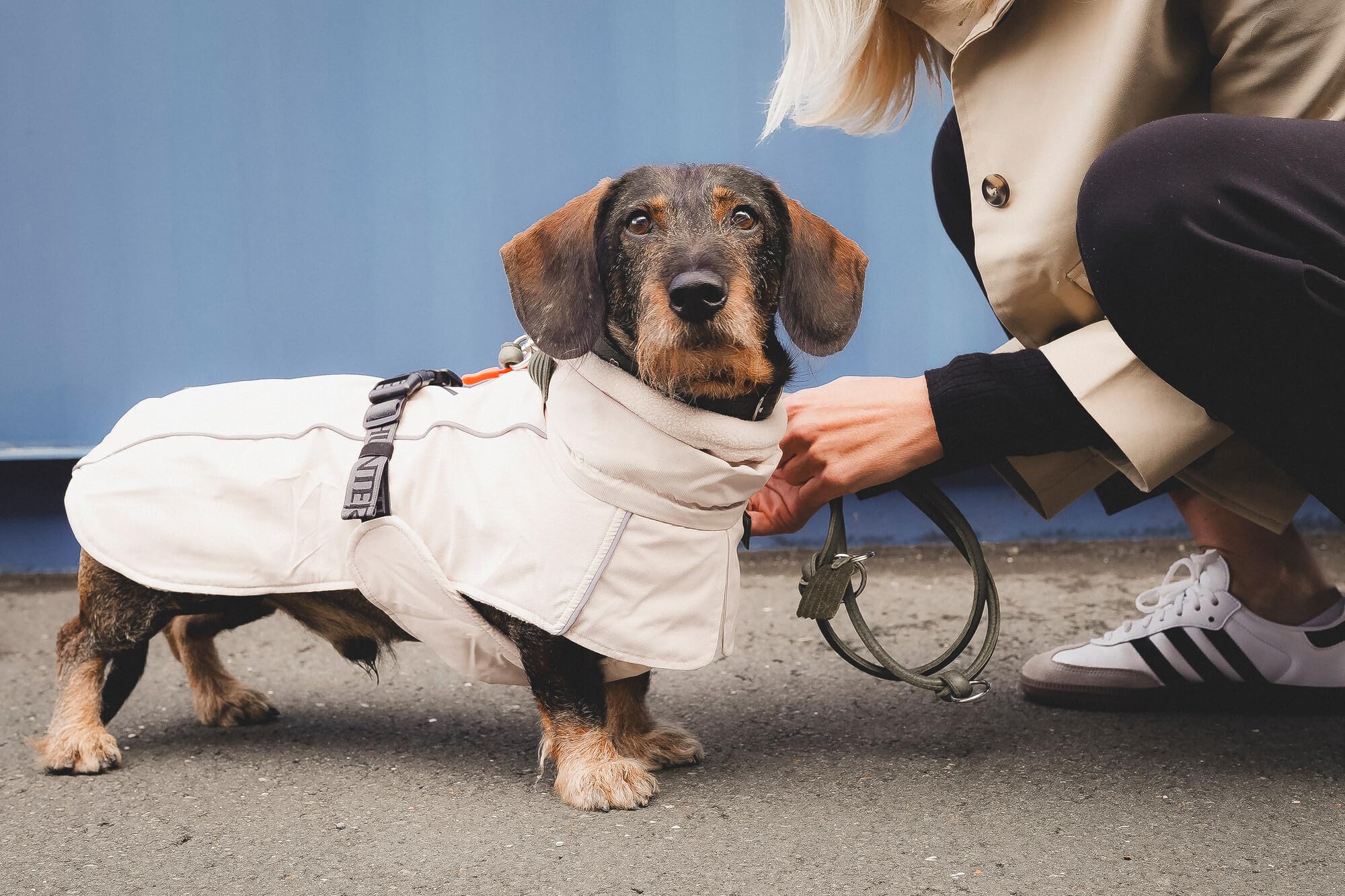 HUNTER Hundemantel NORDBY Dachshund, Farbe: Creme, wasserabweisend, warm gefüttert, reflektierend, ideal für kleine Hunde mit langem Körper, schützt vor Kälte & Nässe, maschinenwaschbar, Größe: 45