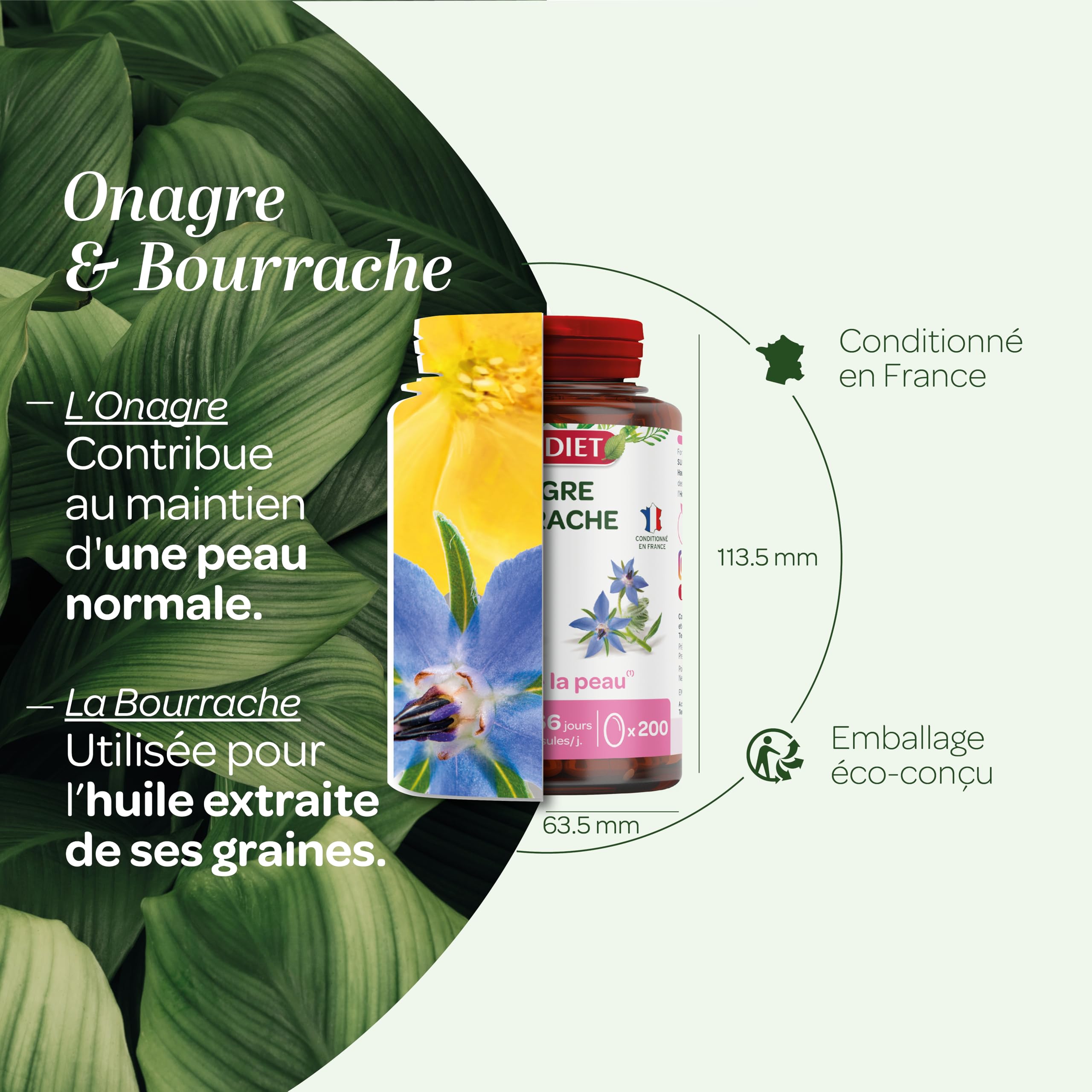 SUPERDIET –HUILE D'ONAGRE BOURRACHE – Beauté de la peau – Phytothérapie – Conditionné en France – 200 capsules
