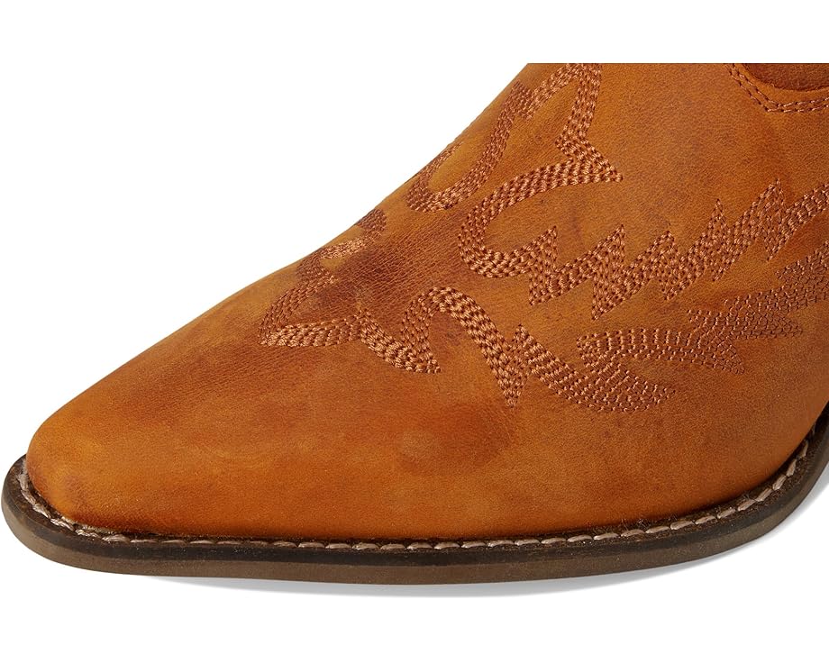 Dingo Rocky Top - Top View