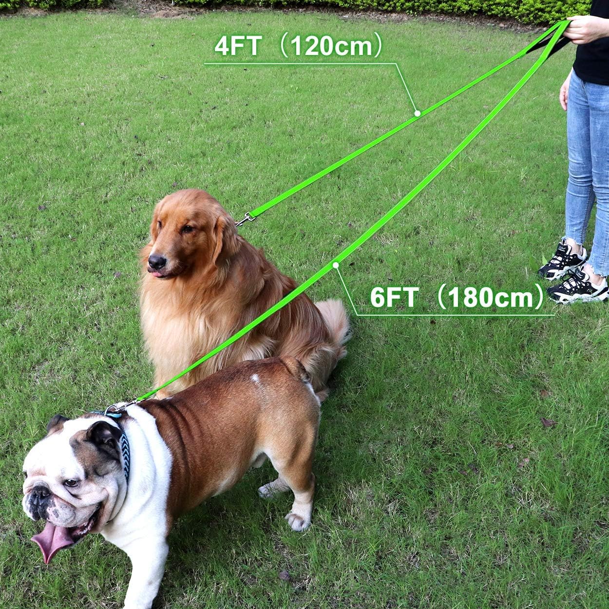 FunTags 4FT Reflective Dog Leash with Soft Padded Handle for Training,Walking Lead for Large & Medium Dog,1 Inch Wide,Green
