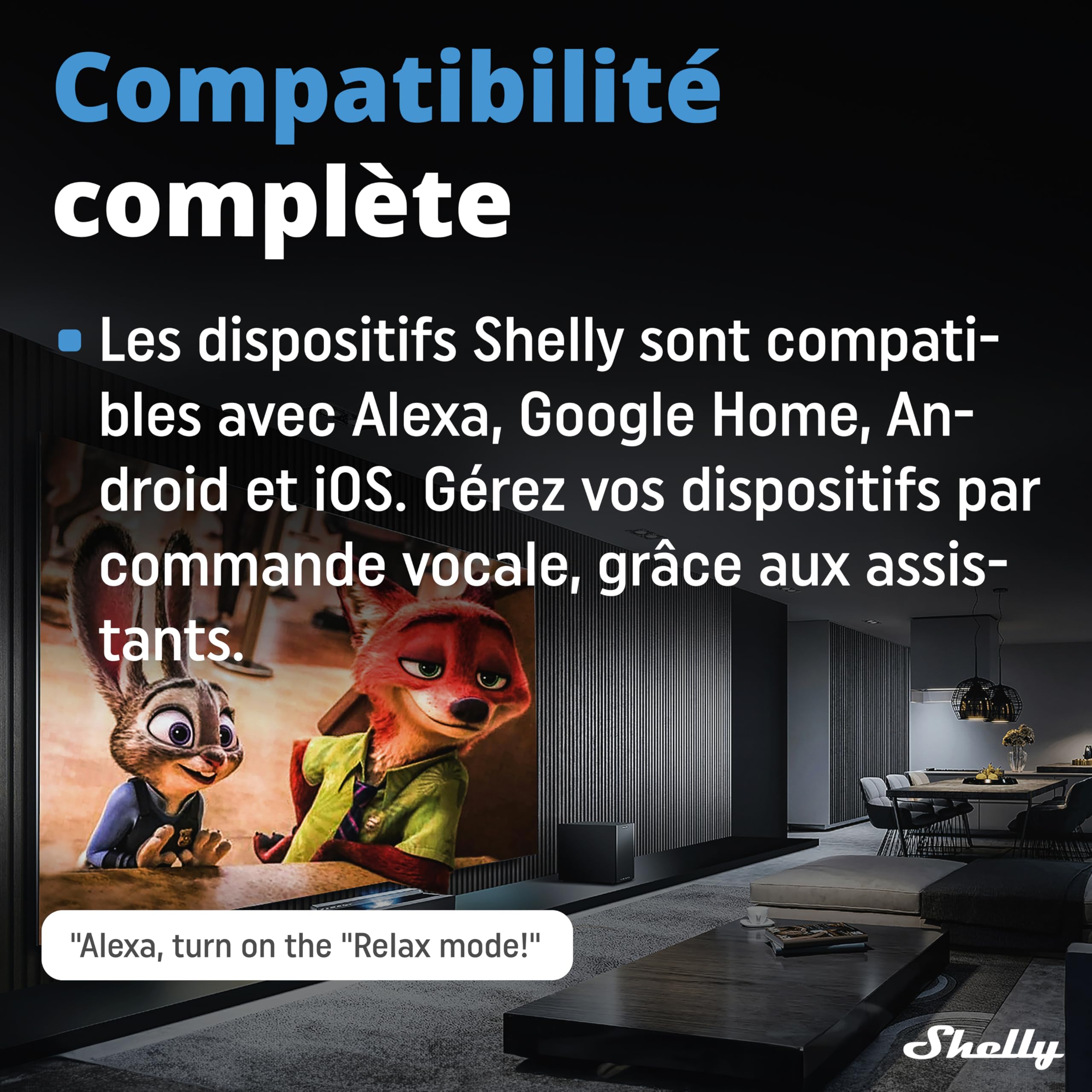 Shelly Pro Dimmer 2PM - Variateur de lumière Wi-Fi, LAN, Compteur de consommation intégré, 2 canaux (200W chacun), sur Rail DIN, Halogènes et LED, Compatible Alexa & Google Home, App iOS & Android