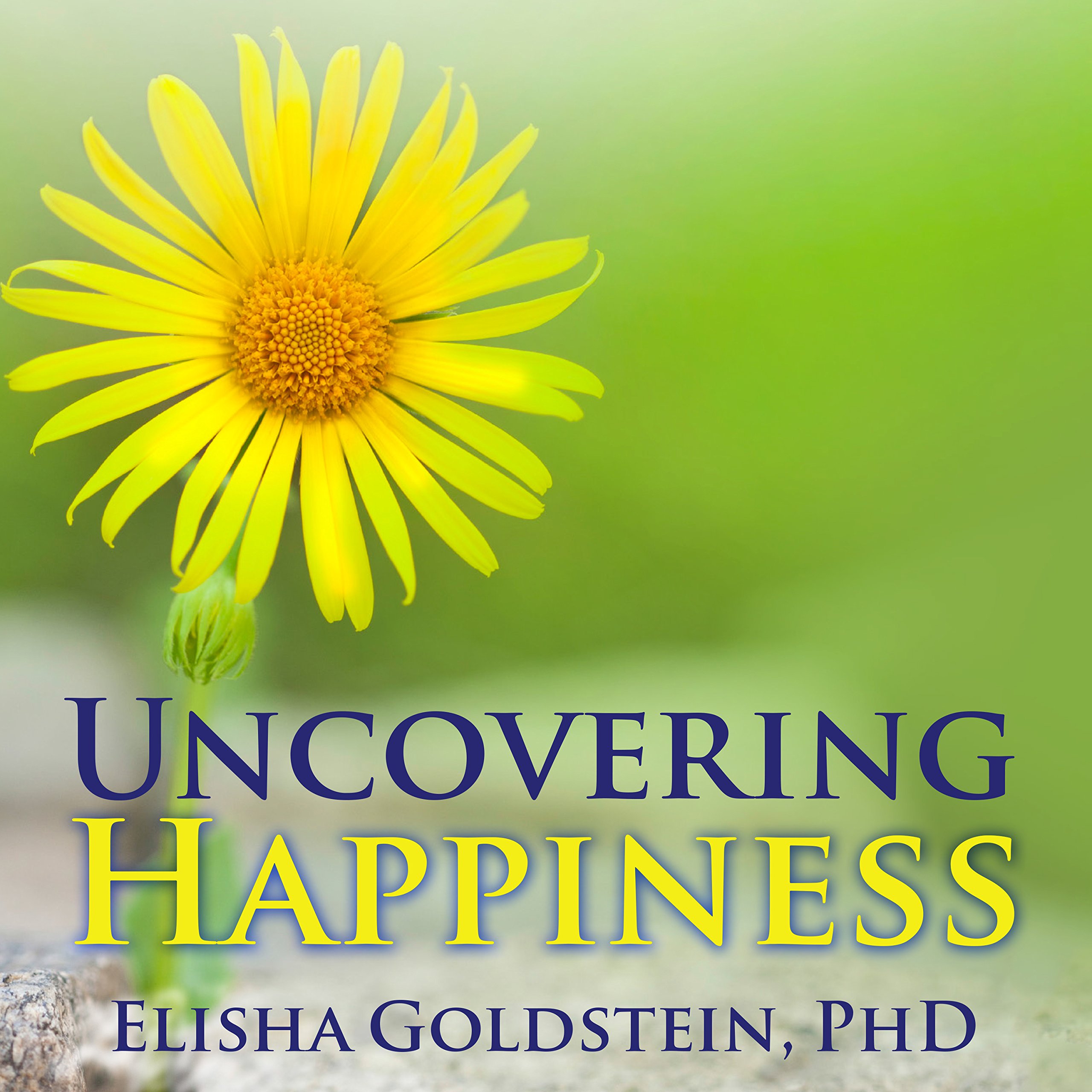 Cover art for Uncovering Happiness