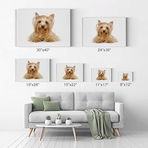 Vista 57 de Smile Art Design Border Collie Bulldog Rottweiler Cachorro Persa Gatito Animal Lienzo Impresión Arte de Pared Pet Cat Dog Lover Sala Dormitorio