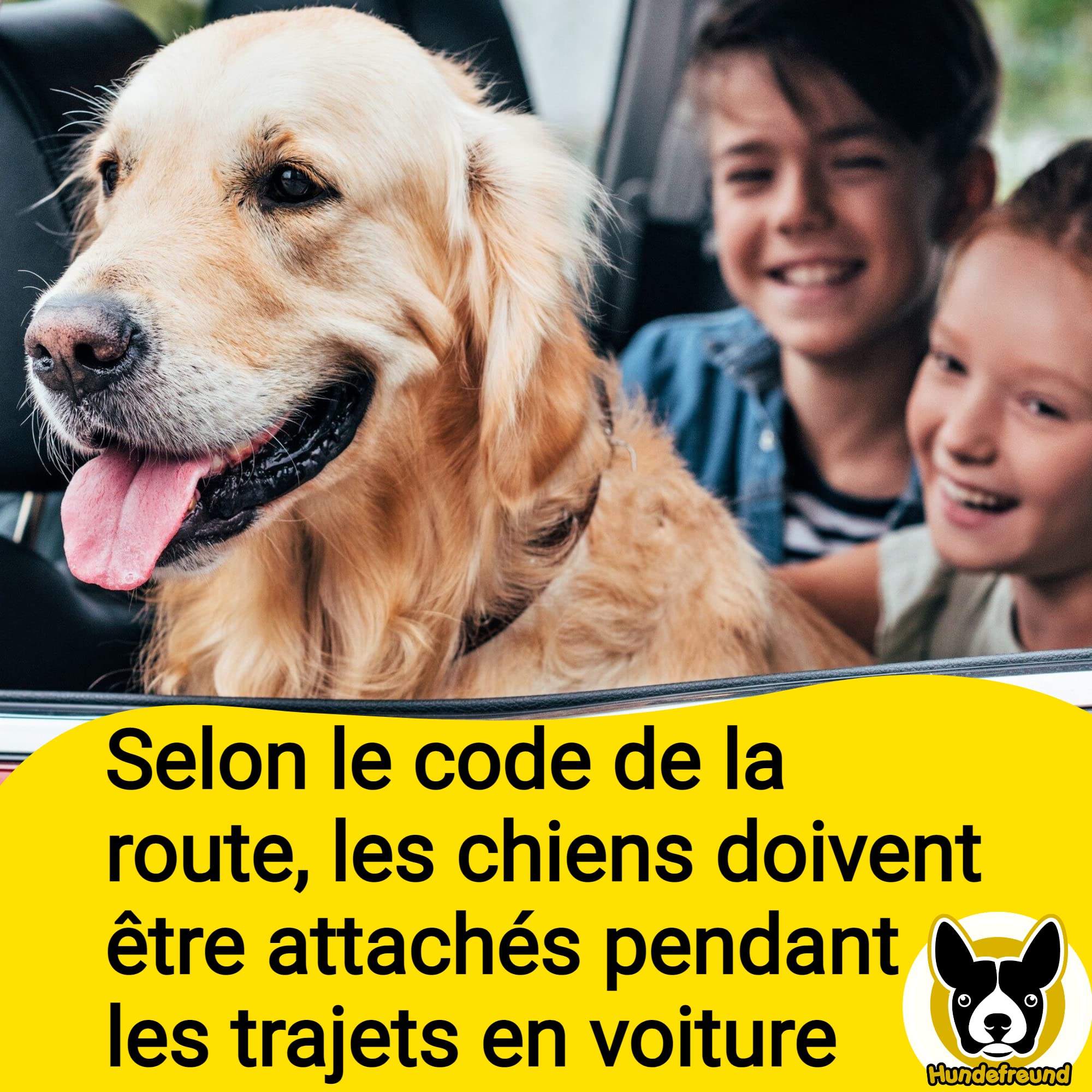 Hundefreund Ceinture de Sécurité pour Chien Voiture Extrêmement Sûre - Ceinture Chien Voiture Réglable avec Amortisseur pour Tous Les Types de Voitures et Toutes Les Races de Chiens