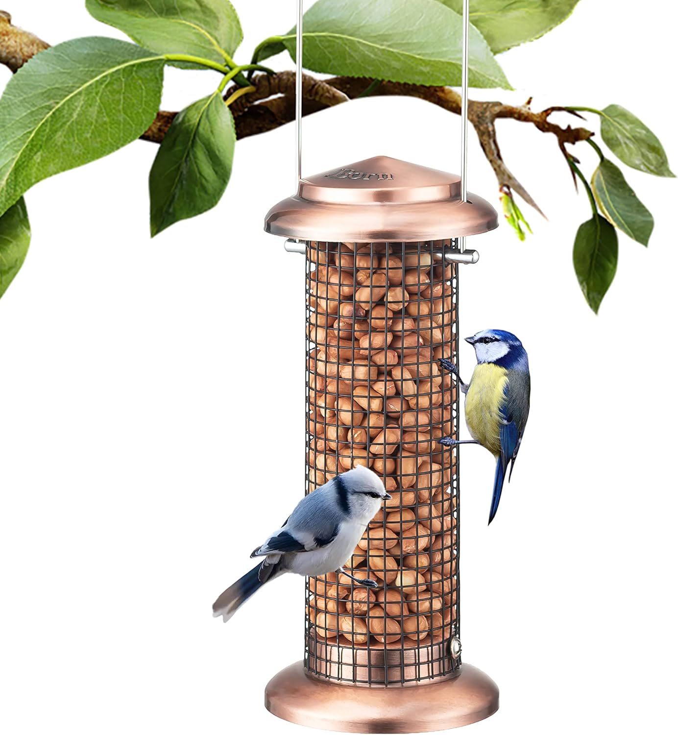 iBorn Peanut Nut Bird Feeder Sunflower Seed Outdoor Hanging for Wild