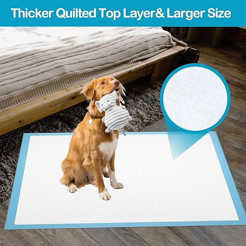 Miniatura 8 de Almohadillas de entrenamiento para perros XL 24 x 35 pulgadas, almohadillas de entrenamiento de triple grosor, multiusos, superabsorbentes y a