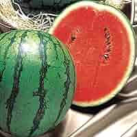 パンゲア Watermelon 8oz ay6pzqjpns_0_1024x1024.jpg?v=