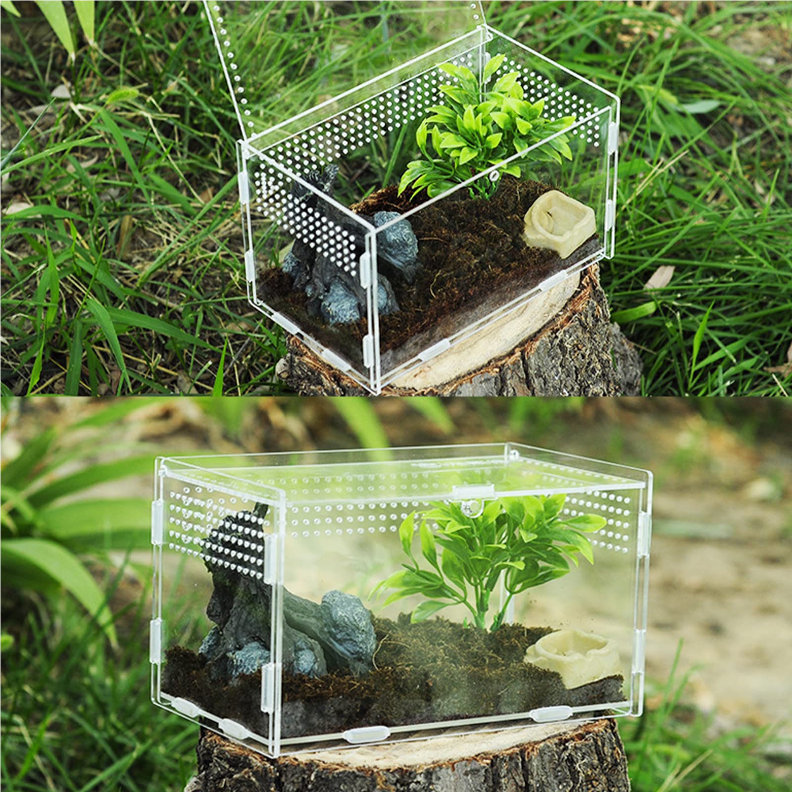 Nizirioo Acrylique Boîte D'alimentation D'insectes: 20cmx12cm x 12cm Boîte D'élevage De Reptiles, 360 ° Transparent Boite Portable Terrarium Insecte, Terrarium Phasme pour Animaux de Compagnie Rampant