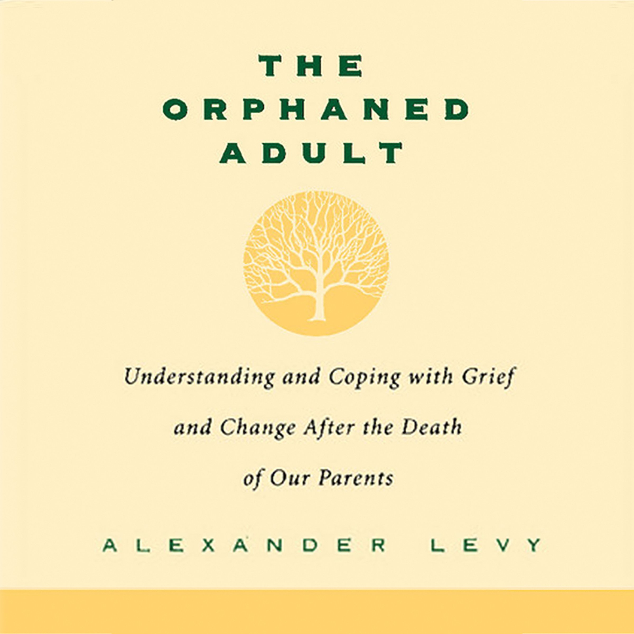 Cover art for The Orphaned Adult