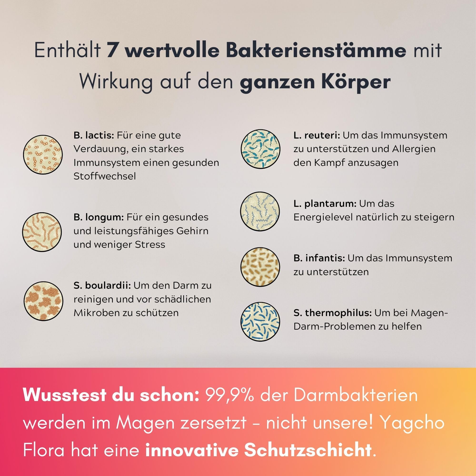 Yagcho Flora | Darmflora Komplex 3x150g | Vitalpilz Mix | Darmkur Probiotika | TCM Heilpilze | Darmgesundheit | Nahrungsergänzungsmittel