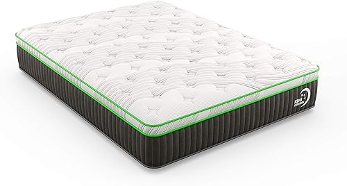 Kiwi Plush Twin XL - Colchón natural de espuma viscoelástica de 12.5 pulgadas, orgánico, cama en una caja, fabricado en Estados Unidos