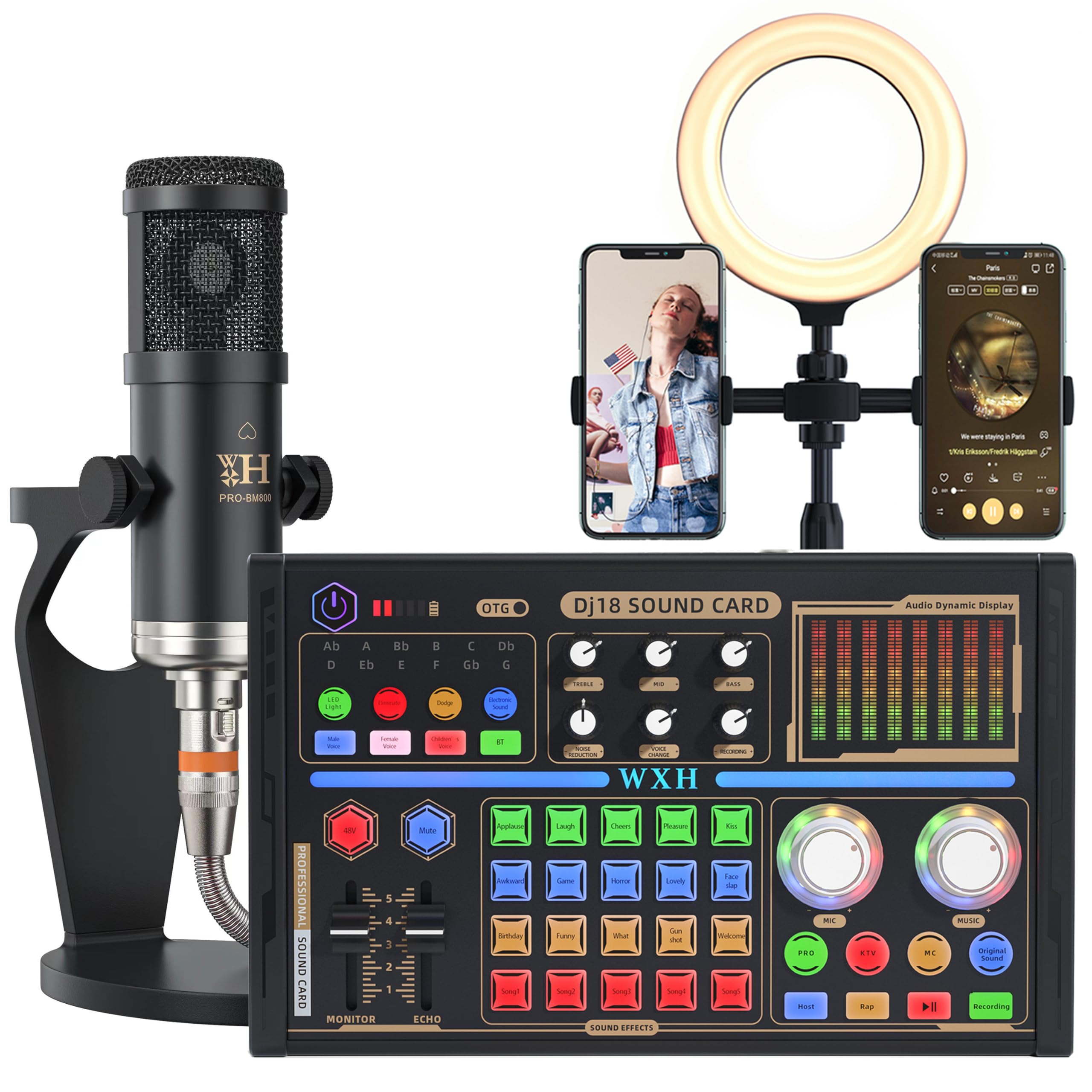 ALSO GO Professional Podcast Equipment Bundle, DJ18 Sound Card with BM-800 Condenser Microphone and Voice Changer, Multifunctional Audio Interface, Suitable for Podcasting Bluetooth, PC, Smart Phone