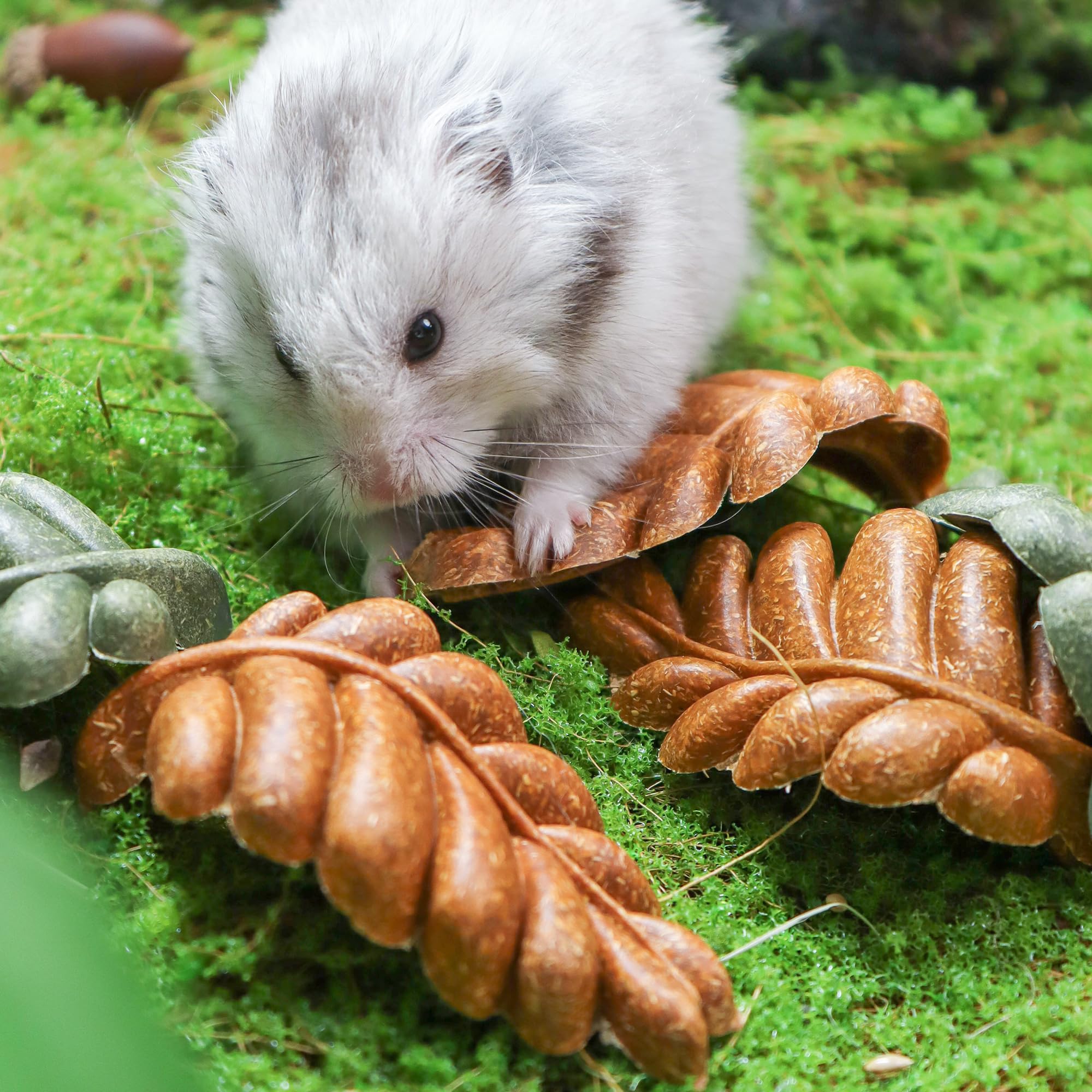 TEEWY Lot de 6 jouets à mâcher en forme de feuille pour hamster, cochon d'Inde naturel pour grincer les dents, chinchilla à mâcher pour gerbille, rat et hamster