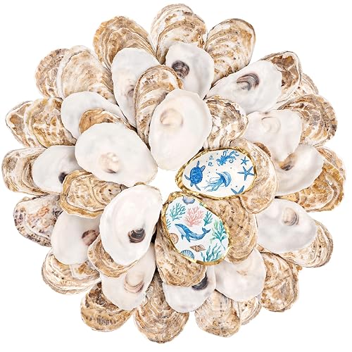 30Pcs Small Flat Oyster Shells for Crafts 2-3 Inch |