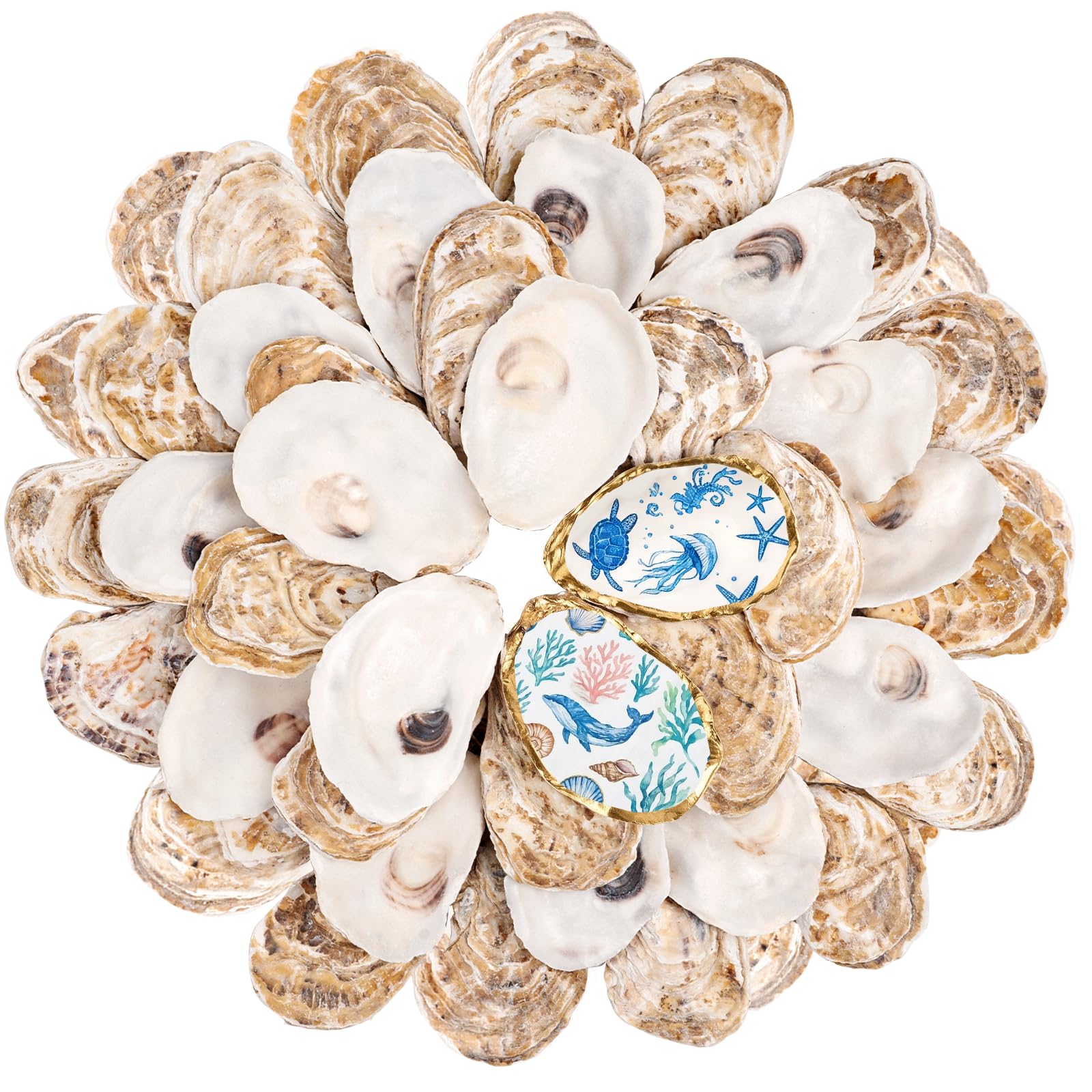 LAMIVORA 30Pcs Small Flat Oyster Shells - vase fillers | Mubboo