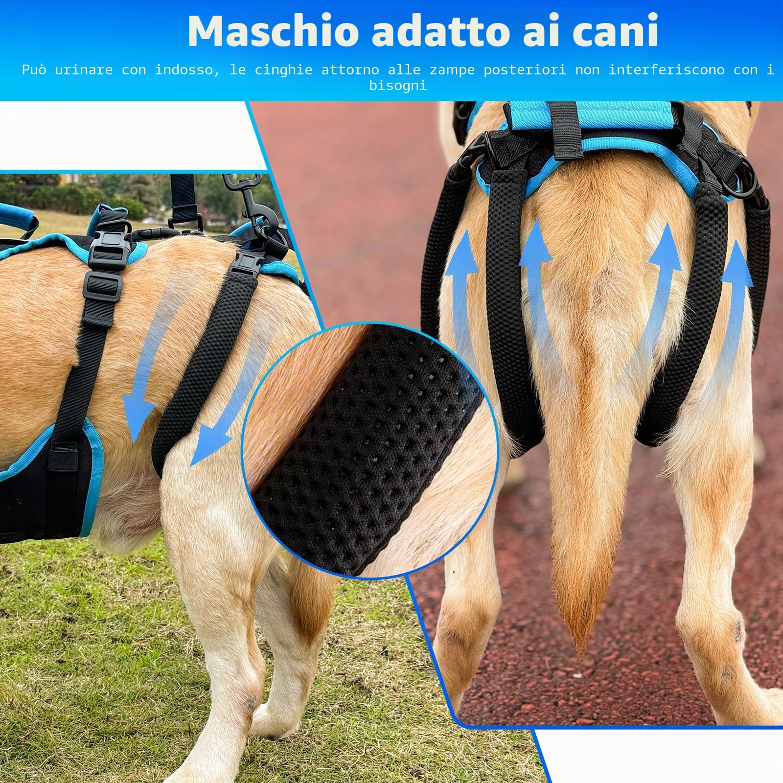 Imbracatura di Supporto per Zampe Posteriori – Imbracatura di Sollevamento per Cani Grandi, Sling 2 in 1 per Cani Anziani e Supporto alla Mobilità(Nero, Medio)