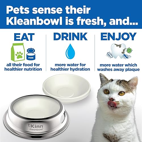 Miniatura 3 de Kinn Whisker Fatigue - Cuenco para gatos, compostable y desechable, 24 onzas (50 repuestos), cuenco de agua para gatos, apto para bigotes, para