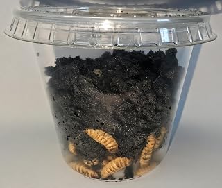 James Serino's 100 Count Live Black Soldier Fly Larvae: Premium Nutrition for Your Pets and Poultry
