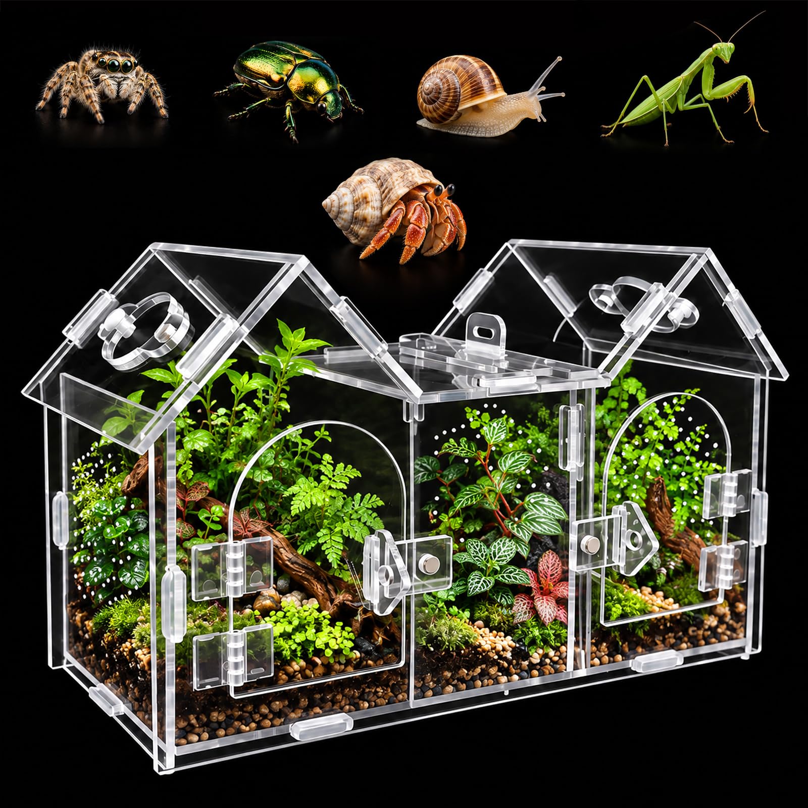 House-Shaped Jumping Spider Enclosure with Divider Magnetic Doors