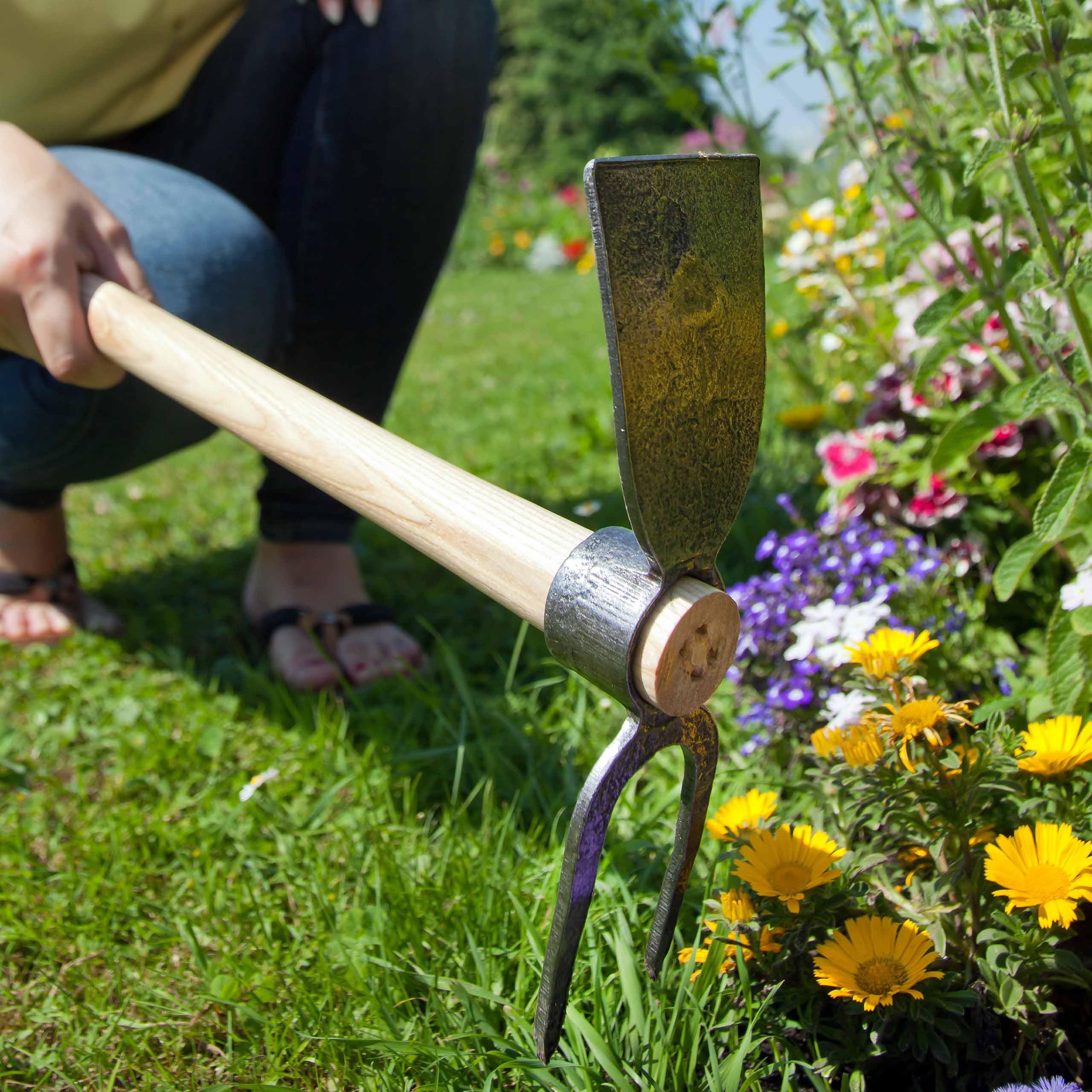 sarcia.eu Zappa da Giardino reversabile con Manico in Frassino Bordo 80 cm (1104)