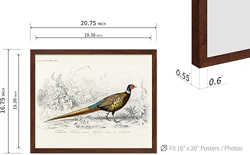 Miniatura 488 de Poster Master Póster vintage de flamenco americano, estampado retro de flamenco rosa, arte de pájaro, regalo para él, ella, amante de los animales,