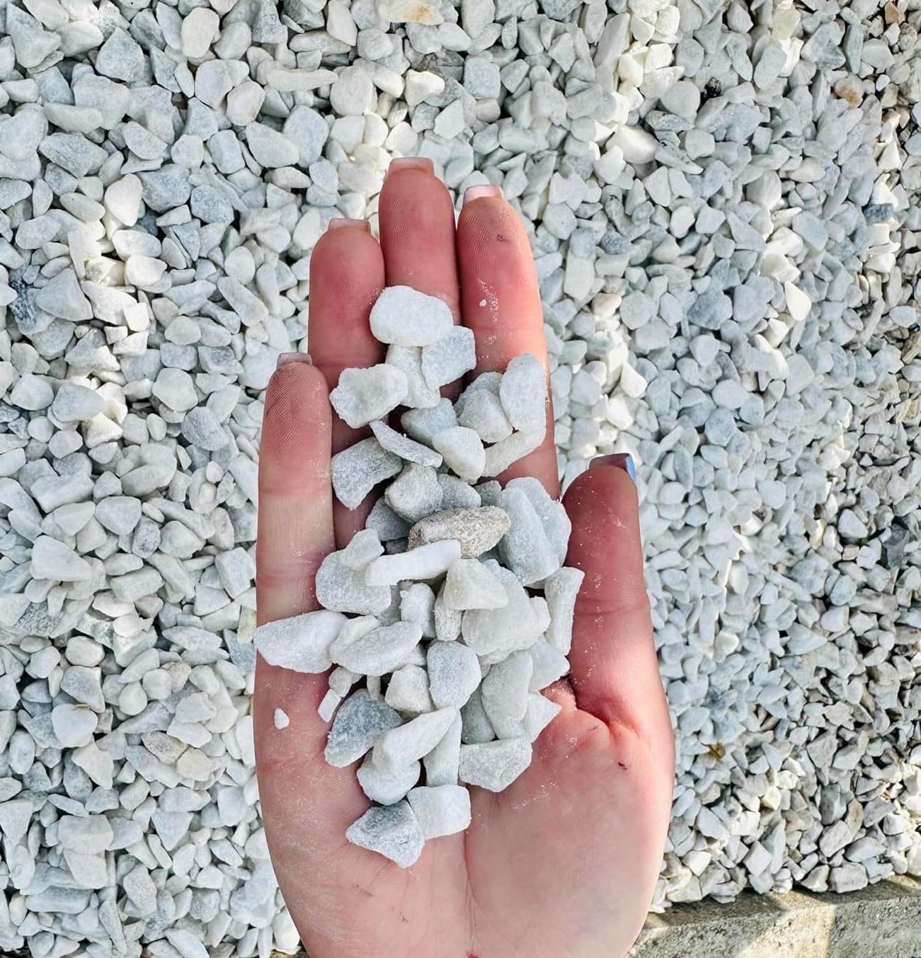 Gardens Decorative Cream Polar Ice WHITE Coloured Stones Pebbles Cobbles Slate Paddlestones Gravel Chippings Aggregate Various Sizes 1kg-1000kg (10)