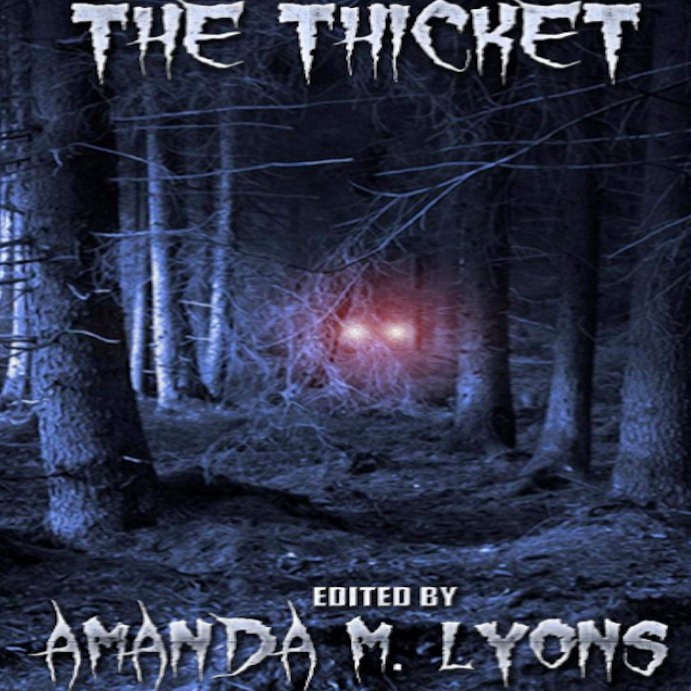 Cover art for The Thicket