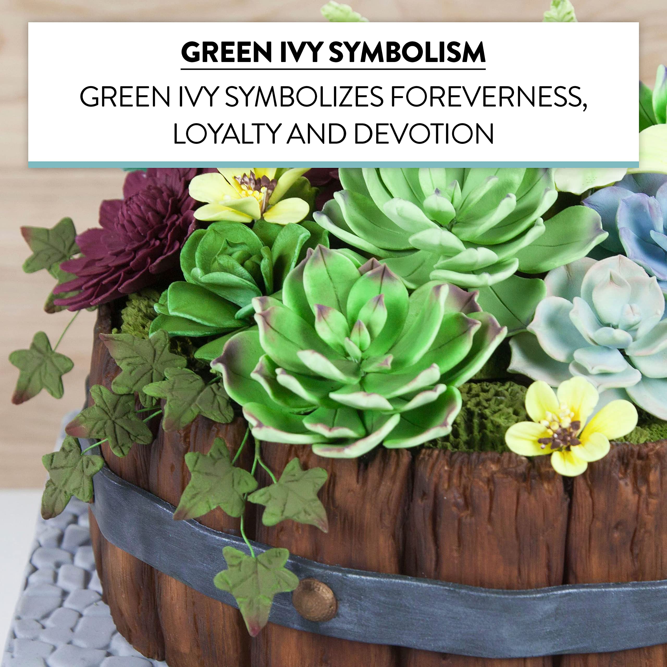 Pastry Chef's Boutique Elegance Collection Macaron Powder Color for French Macarons - Strawberry Velvet - 50 gr