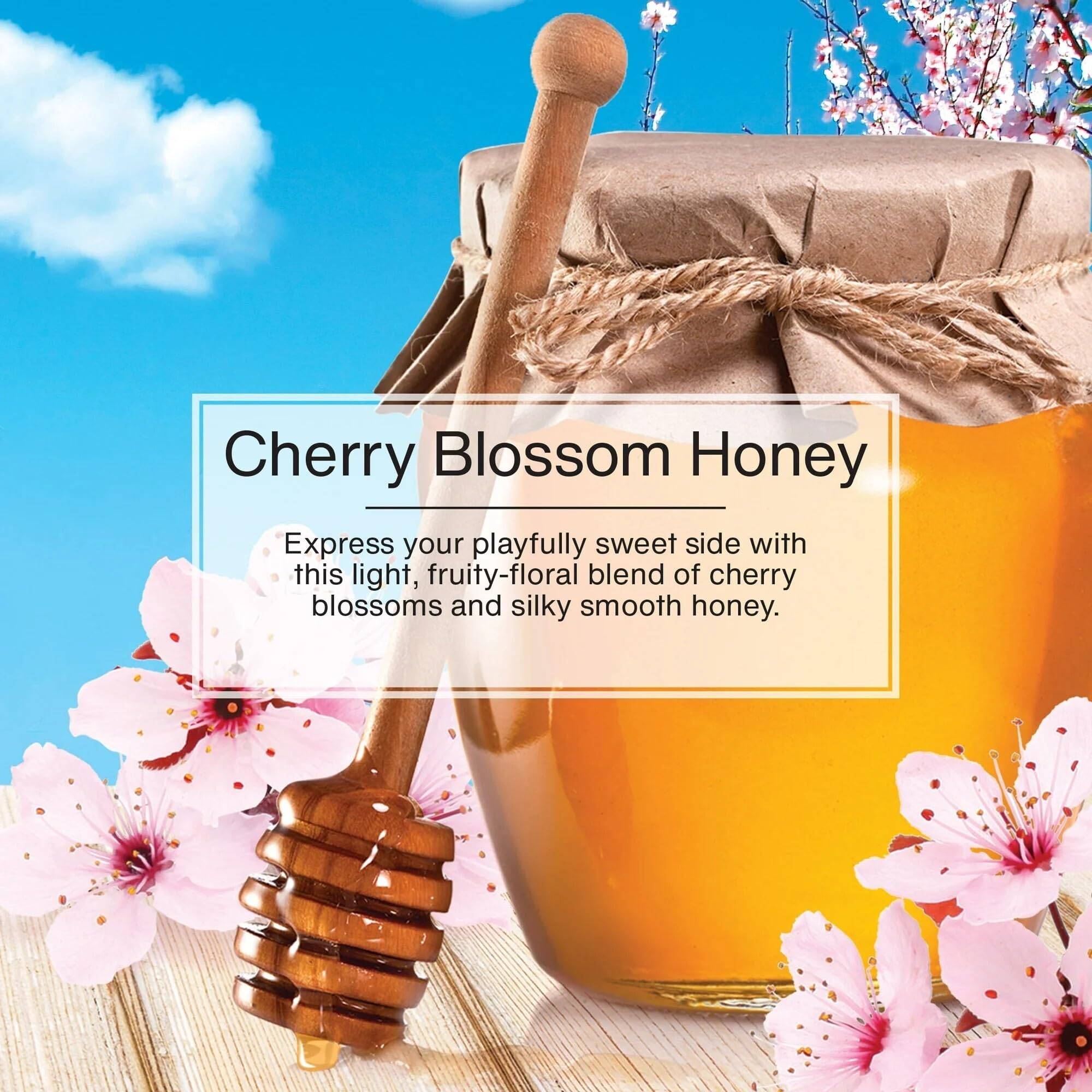 LITTLE TREES Car Air Freshener | Hanging Paper Tree for Home or Car | Cherry Blossom Honey | 6 Pack