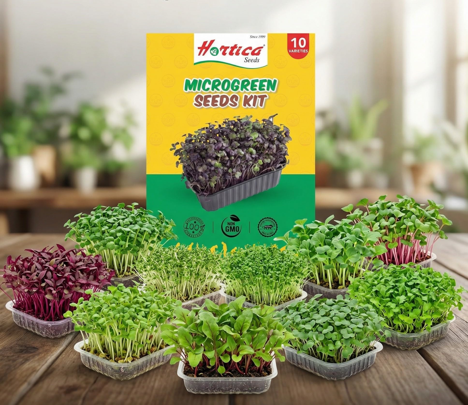 Microgreen Seeds Kit | Value Pack of 10 Varieties - 25gm Each | High Germination | Easy to Grow | Indoor Outdoor (Bulk Pack: 1 lakh+ seeds)-image-33