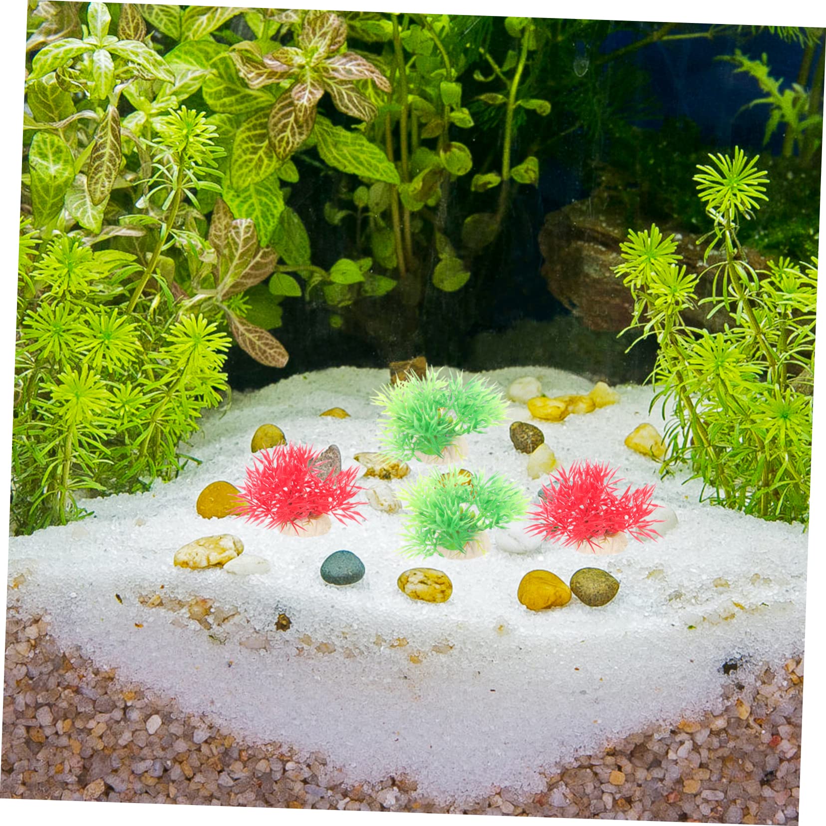 Kisangel 5 Juegos Plantas De Agua De Plástico Simuladas Taza Plantas Acuáticas Fijas Pequeña Hierba De Acuario Accesorios para Peceras Decoraciones De Peceras El Plastico 20 Piezas * 5