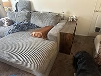 Review Image by Susan V. Susan V.