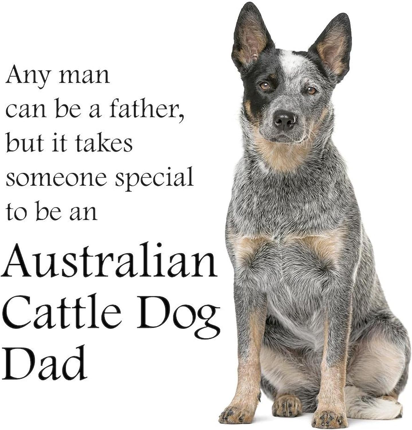 CafePress Cattle Dog Dad Sherpa Fleece Throw Blanket 60" L x 50" W