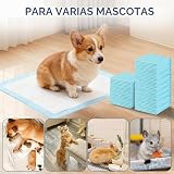 Ver la foto 6