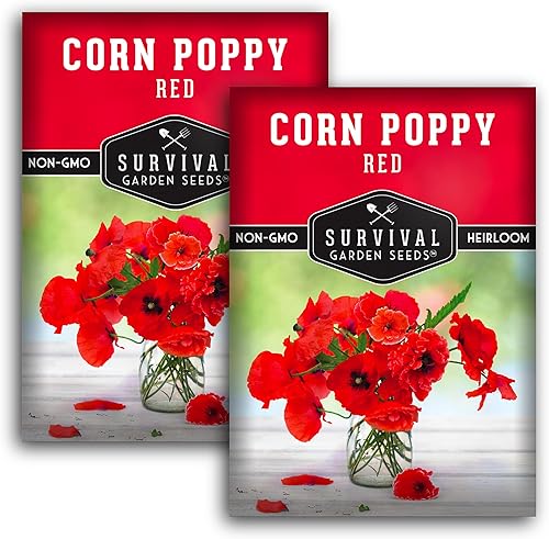 Miniatura 10 de Paquete de 5 semillas de amapola de maíz rojo para plantar, paquete con instrucciones para cultivar amapolas Fl&ers Remembrance en tu huerto casero,